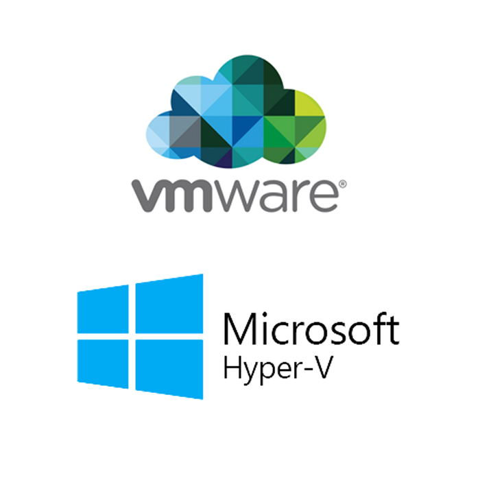 VMware ESXi  Microsoft Hyper-V